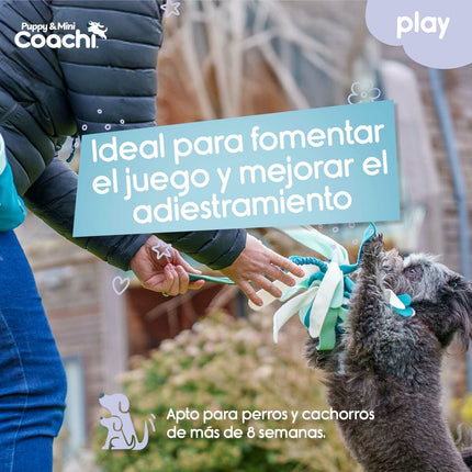 Coachi Hundsele Coachi