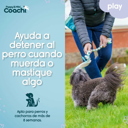 Coachi Hundsele Coachi