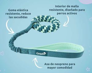 Coachi Hundsele Coachi