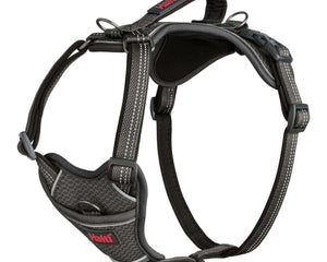 Company Of Animals Hundsele Company Of Animals Grå S 28-42 Cm