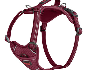 Company Of Animals Hundsele Company Of Animals Bordeaux S 28-42 Cm