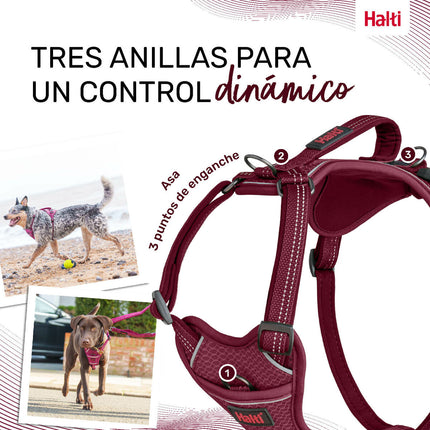 Company Of Animals Hundsele Company Of Animals Bordeaux L 42-65 Cm