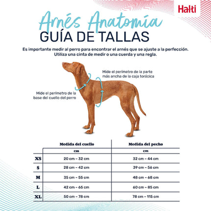Company Of Animals Hundsele Company Of Animals Bordeaux L 42-65 Cm