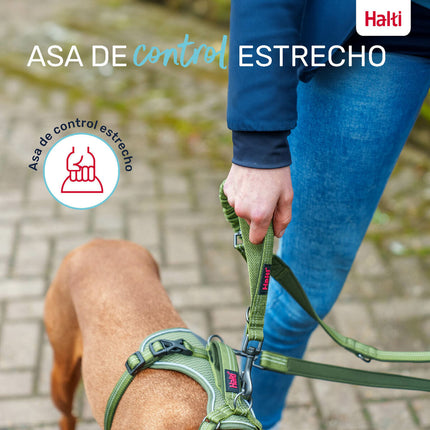 Company Of Animals Dohundkoppel Company Of Animals Turkos L
