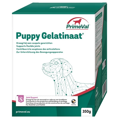 Primeval Urzeitlicher Gelatinierter Hund