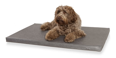 Bia-Bettmatratzenliege Grau