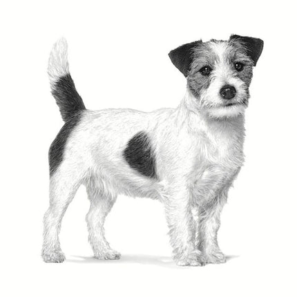 Royal Canin Foder Royal Canin Anallergenic Small Vhn Vuxen Kött Fåglar 1,5 Kg