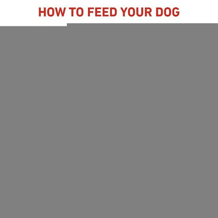 Royal Canin Foder Royal Canin Anallergenic Small Vhn Vuxen Kött Fåglar 1,5 Kg