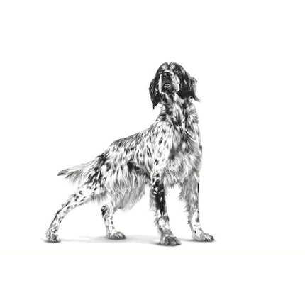 Royal Canin Foder Royal Canin Hepatic Vuxen Kött Fåglar 7 Kg