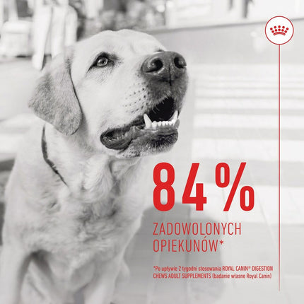 Royal Canin Hundgodis Royal Canin Supplements Dog Digestion Adult 160 G