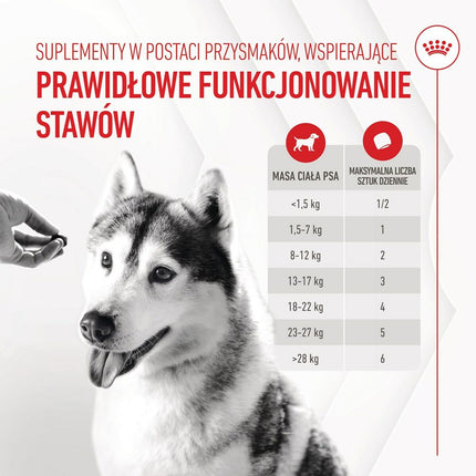 Royal Canin Hundgodis Royal Canin Supplements Dog Joint & Ageing Adult 240 G