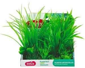 Zolux Dekorativ Växt Zolux