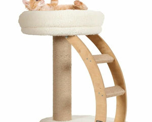 Zolux Klösträd För Katter Zolux Montana 38 X 55 X 55 Cm