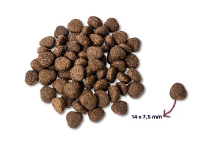 Renske Super Premium Adult Lachs Getreidefrei Hypoallergen