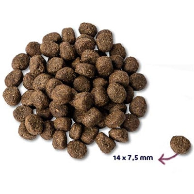 Renske Super Premium Senior Truthahn Getreidefrei Hypoallergen