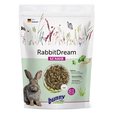 Bunny Nature Kaninchen Natur Kaninchen Traum Senior