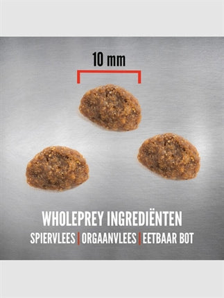 Orijen Original Katze