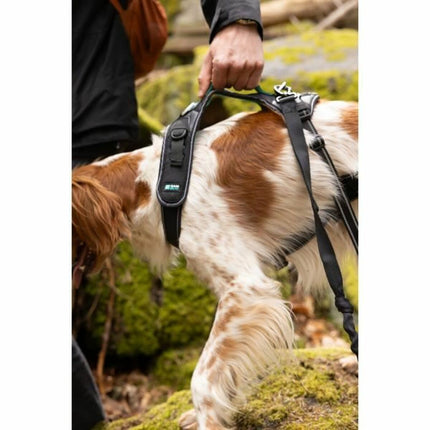 Symbioz Hundsele Symbioz Svart M