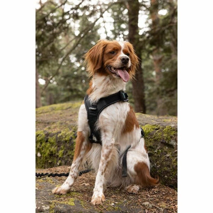 Symbioz Hundsele Symbioz Svart M