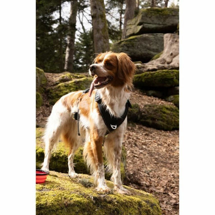 Symbioz Hundsele Symbioz Svart M