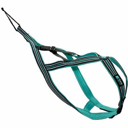 Olympia Hundsele Olympia L