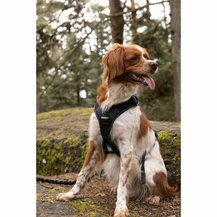 Symbioz Hundsele Symbioz Svart L