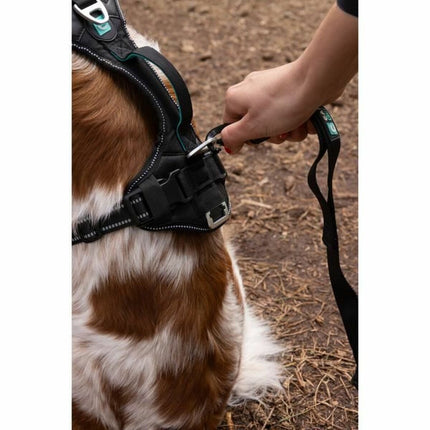 Symbioz Hundsele Symbioz Svart L