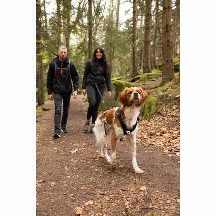Symbioz Hundsele Symbioz Svart Xl