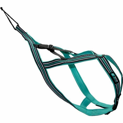 Olympia Hundsele Olympia Xs