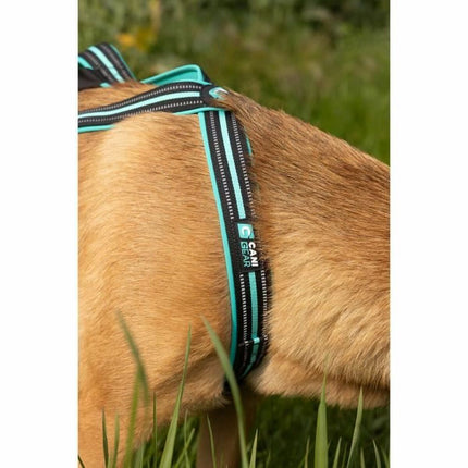 Olympia Hundsele Olympia Xs
