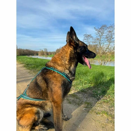 Olympia Hundsele Olympia Xs
