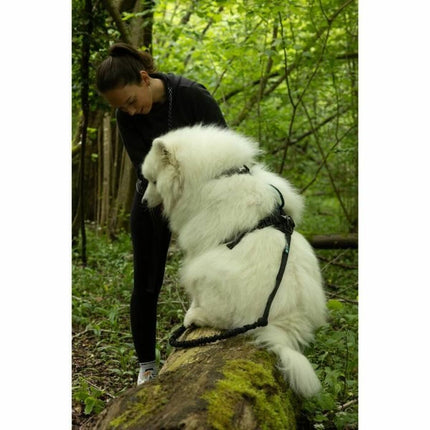 Symbioz Hundsele Symbioz Svart S