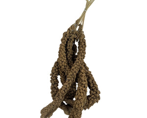 Markenlos Millet Chinese