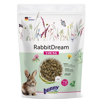 Bunny Nature Kaninchen Natur Kaninchen Traum Jung