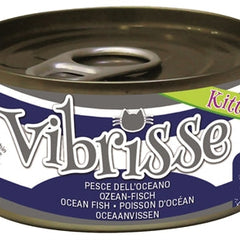 Vibrisse Kätzchen Katze Ozean Fisch