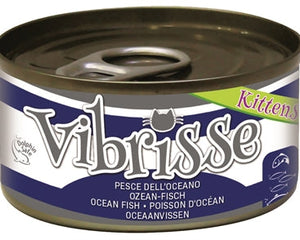 Vibrisse Kätzchen Katze Ozean Fisch