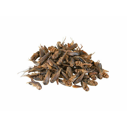 Trixie Turtle Food Trixie