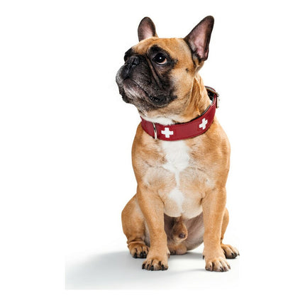 Hunter Hundhalsband Hunter Swiss Röd/Svart 35-43 Cm