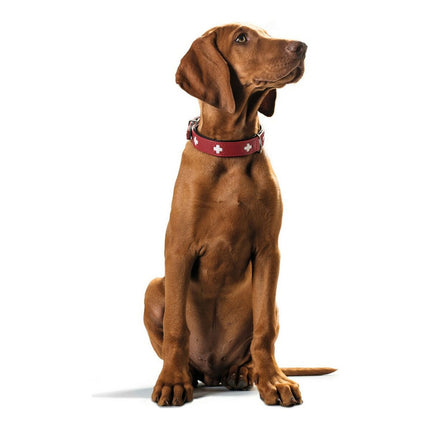 Hunter Hundhalsband Hunter Swiss Röd/Svart (24-28.5 Cm)