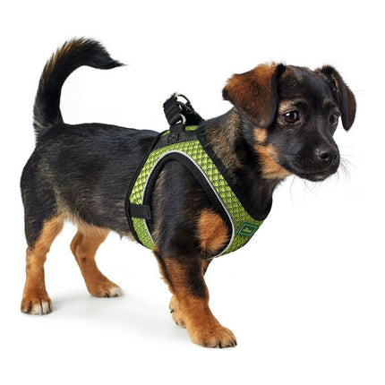 Hunter Hundsele Hunter Hilo-Comfort Lime M (55-60 Cm)