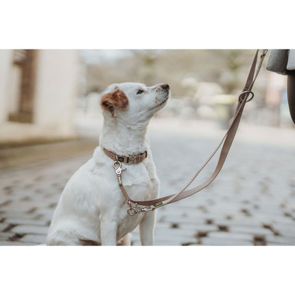 Hunter Dohundkoppel Hunter Inari Beige 200 Cm