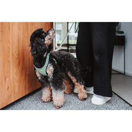 Hunter Hundsele Hunter Comfort Grön M/L 58-63 Cm