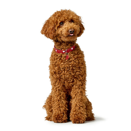 Hunter Hundhalsband Hunter Love M 41-49 Cm Röd