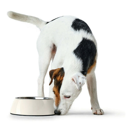 Hunter Hundmatare Hunter Melamin Rostfritt Stål Vit 350 Ml (18,5 X 18,5 X 9,5 Cm)