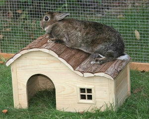 Kerbl Hydda Kerbl 30 X 20 X 19 Cm