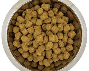 Yourdog Königspudel Erwachsen