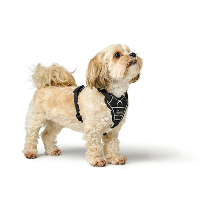 Hunter Hundsele Hunter Divo Up Svart S/M