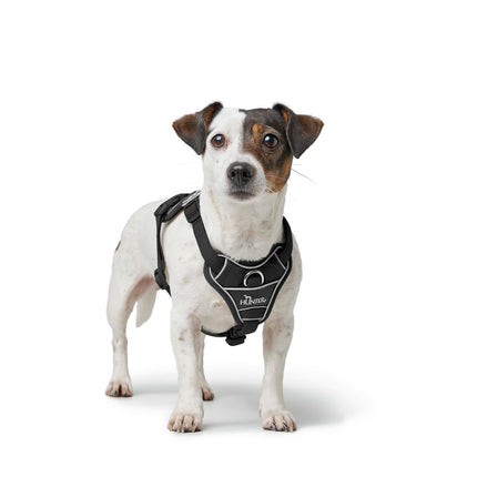 Hunter Hundsele Hunter Divo Up Svart S/M