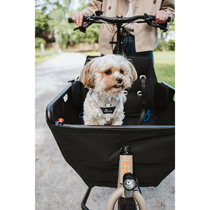 Hunter Hundsele Hunter Divo Up Beige Xs