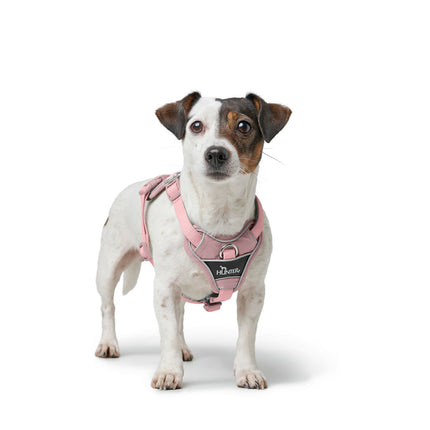 Hunter Hundsele Hunter Divo Up Rosa L/Xl
